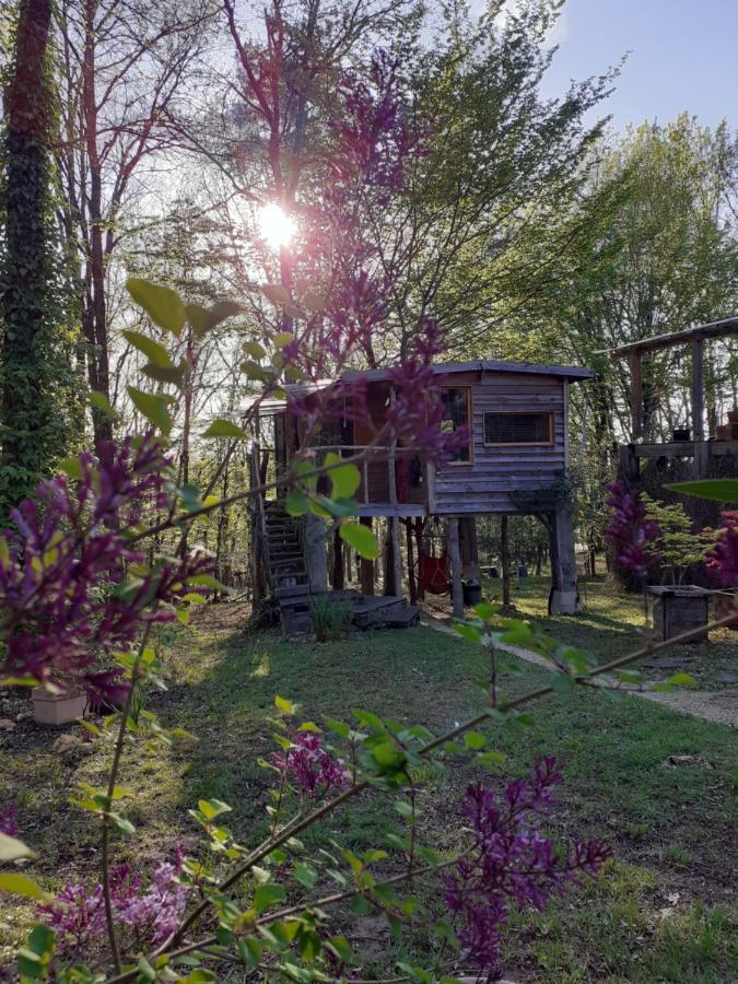 La Cabane De L'Oiseau Couze-et-Saint-Front Екстериор снимка