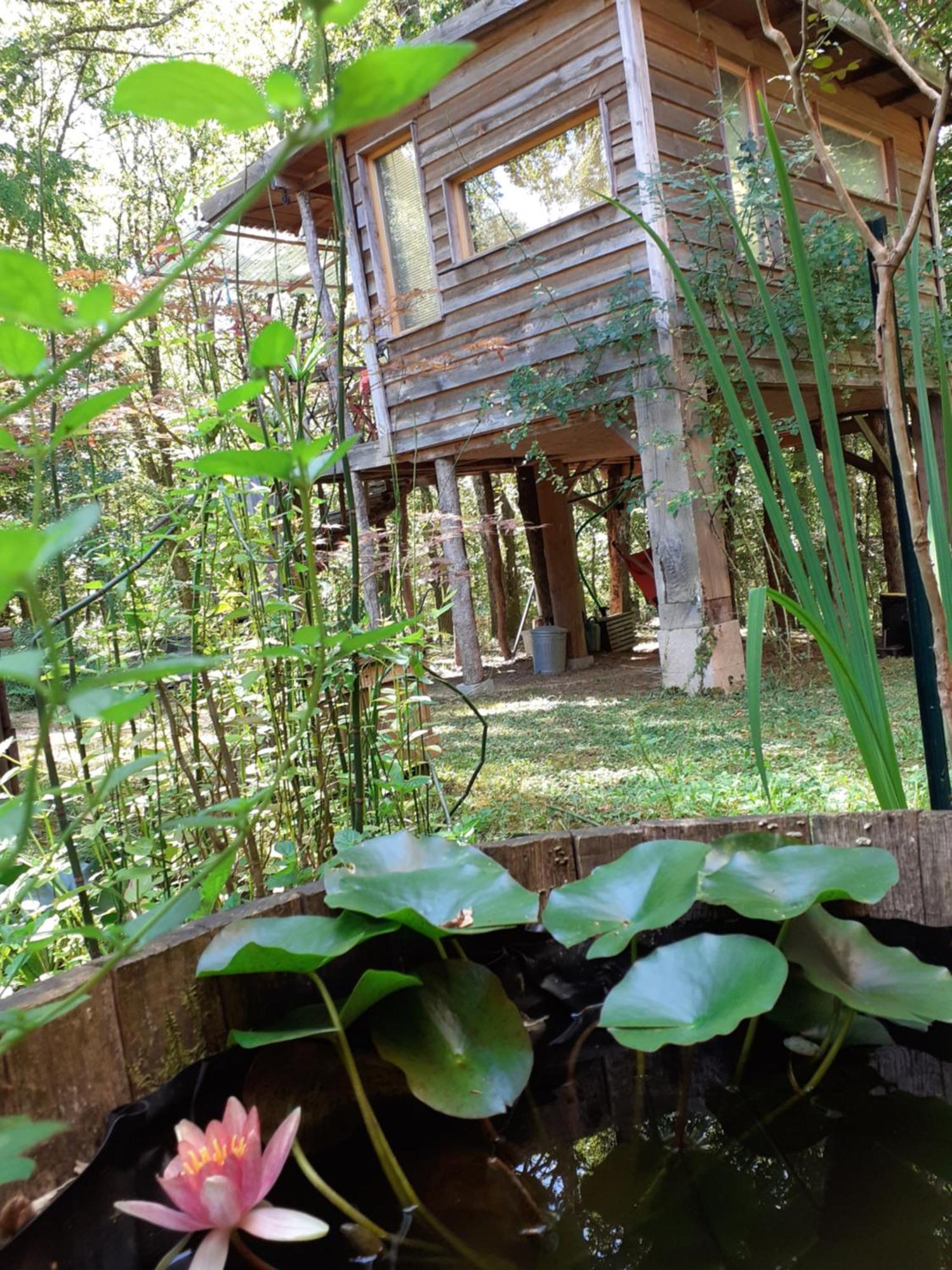 La Cabane De L'Oiseau Couze-et-Saint-Front Екстериор снимка