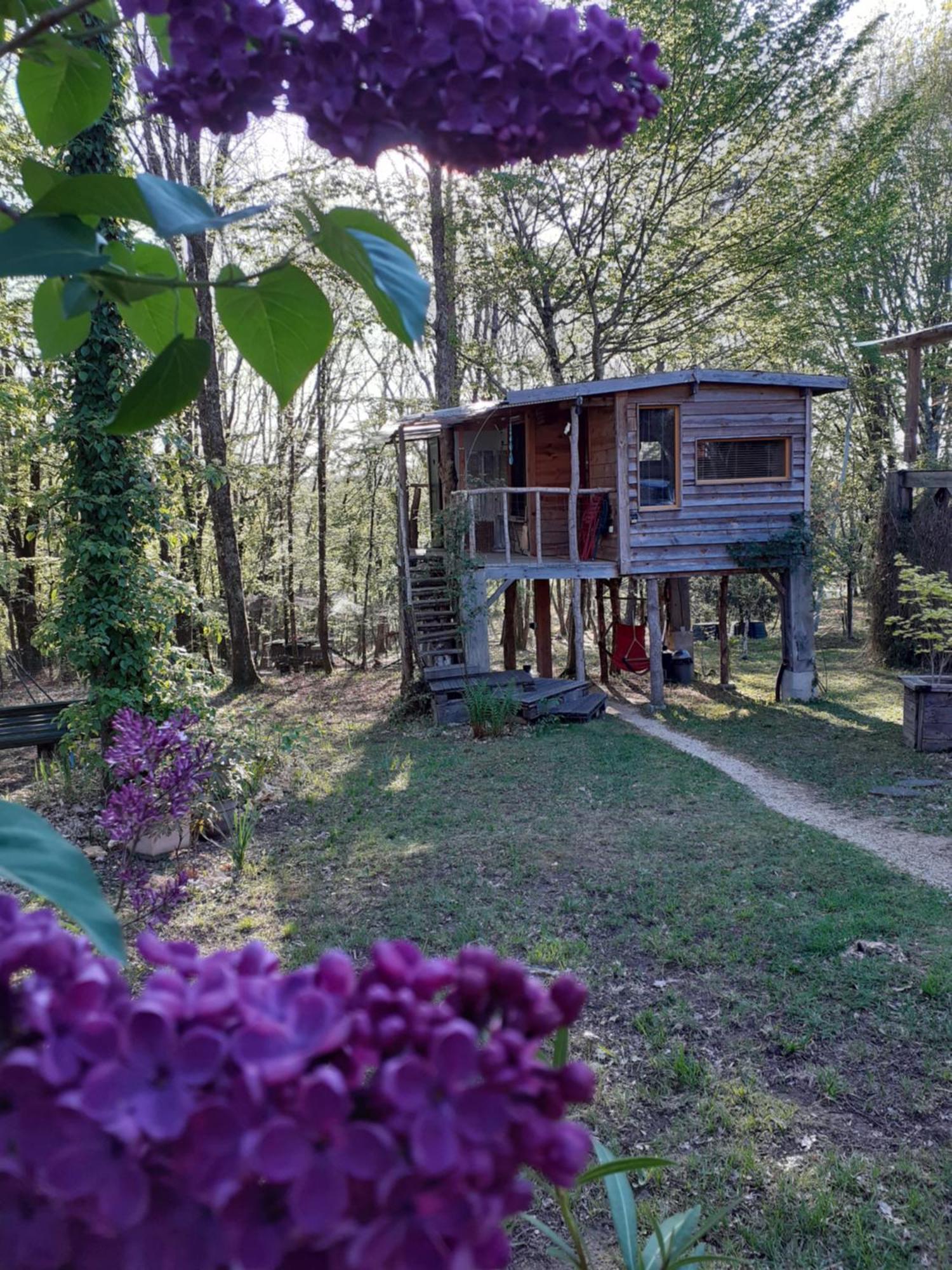 La Cabane De L'Oiseau Couze-et-Saint-Front Екстериор снимка