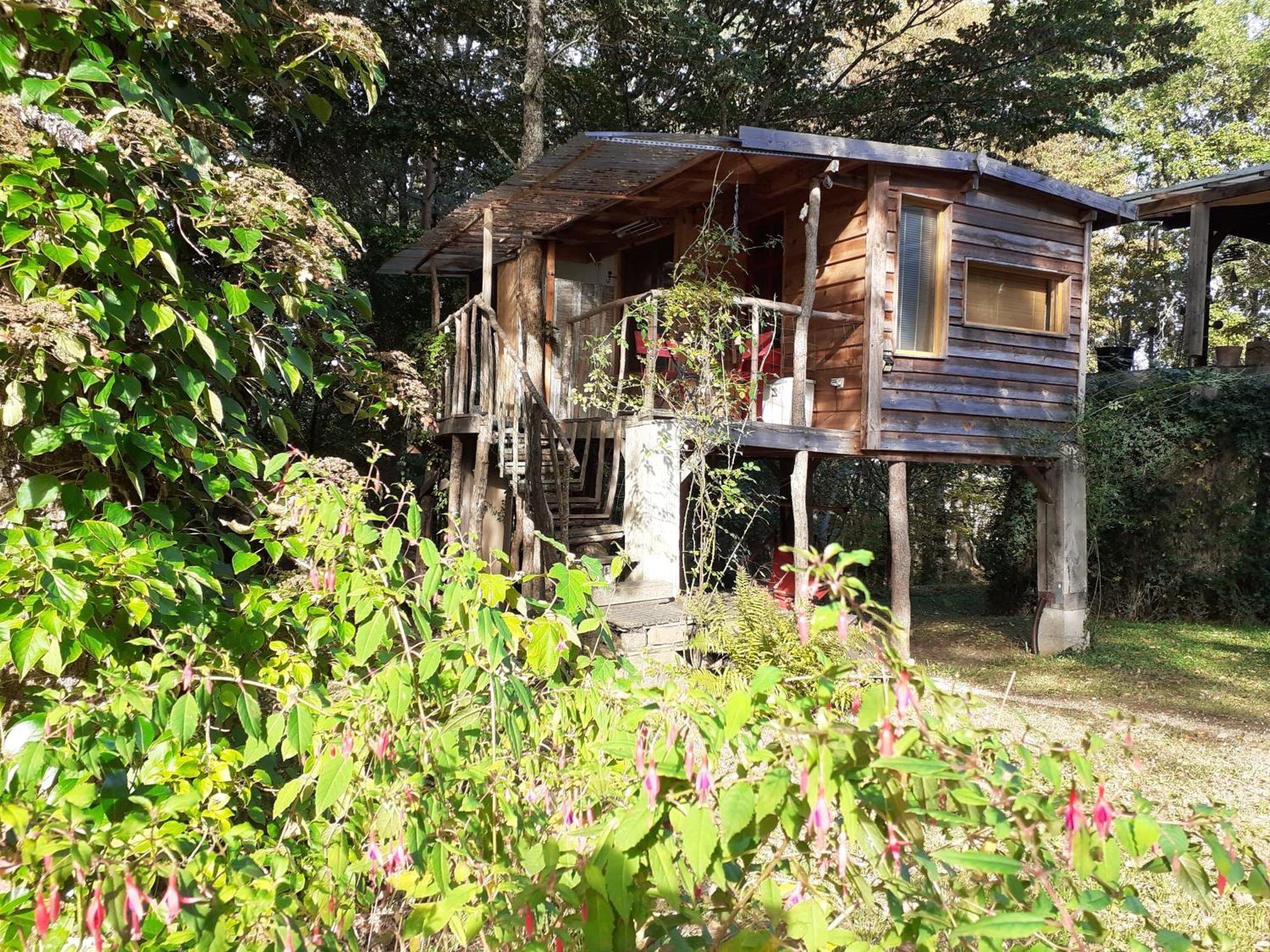 La Cabane De L'Oiseau Couze-et-Saint-Front Екстериор снимка